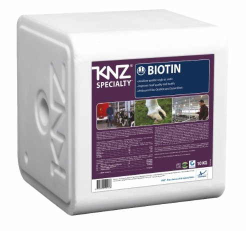KNZ Biotin Leckstein (MFM) - Kartonbox 10KG